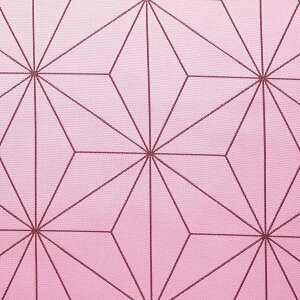 WK[h n }̕z lCR~bNLN^[ ̗t sN 120110-2 2021N w pp\