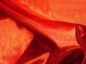 i ߑpn@^Tebh009-1004-9 RXv ߑ nEB NX}X \ w  ^ RT[g  p[eB[ RX`[ pp\