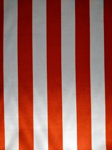 |GXe Te vgn z ܂ 170610-2zCg×bh XgCv 2cm pp\