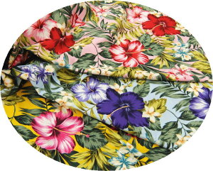 i pEXJ[gɍœK@nCA vgn z ԕ nCrXJX 61|280|3 pp\