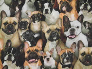 687-multi �A�� USA�R�b�g�� ���n �z �x�X�g�t�����h 687-multi �G���U�x�X�X�^�W�I �� �C�k �h�b�O �@�t�����`�u���h�b�O�@���p���p�\