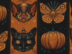 A USARbg n z _Ȍ MYSTIC MOONLIGHTnEB XgCv RH092|ORANGEt[Xsbg pp\