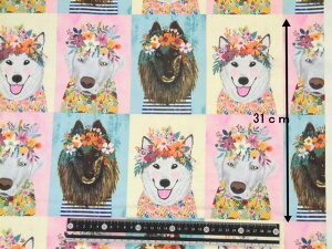 pl n A USARbg At[ ps[Y@MCO48-XMULTI t[Xsbc 110×31cm qCk hbO ԏpp\