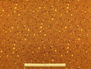 �A�� USA�R�b�g�� ���n MIXMASTERS:FIZZ �t�B�Y APL9801-255ROOT BEER ���o�[�g�J�t�}�� ���p���p�\