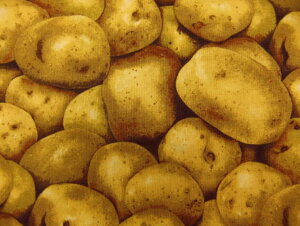 6792-1 A USARbg n RJRt@ubNX t@[}[Y}[Pbg 6792|1 |eg WKC xW^u  ʐ^ tFCN C~e[V pp\