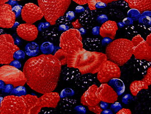 iA USARbg n z t[c C1811-Berry ^CXgW[Y ʕ ~bNXh x[ pp\