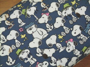 TCcC LN^[n z PEANUTS Xk[s[ G3715|1 2025N w @bXobN@ibvUbN@TuobN@bNpps