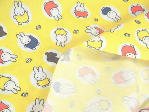 LN^[ ~l[gn z fBbNEu[i ~btB[ ʕ@GL2025|1ACG[ 2025N w @yP[X@|[`@rj[obNpps