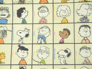 LN^[ IbNXn z @Xk[s[ s[ibc PEANUTS G3713|1AN[@I[X^[@75th@75N @2025Nw pps