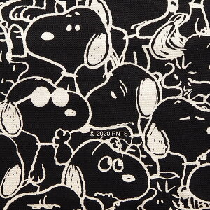 LN^[ IbNXn z Xk[s[ SNmN BKOubN 771133 2020N w s[ibc PEANUTS pps