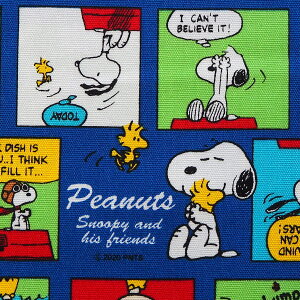 LN^[ IbNXn z Xk[s[ SNJ[R~bN BOu[ 774233 2021N w s[ibc PEANUTS pps