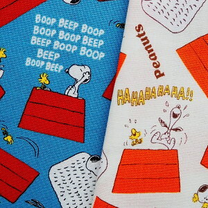 LN^[ V[`On z PEANUTS Xk[s[ [t G3591|1 2021N w pps