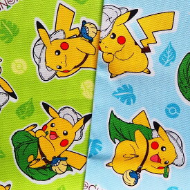 楽天市場 ポケモン 布の通販