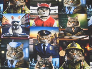 Rbg V[`On z nora Lbg [N@ST1558A lR@L@CNWFbgvg pp\