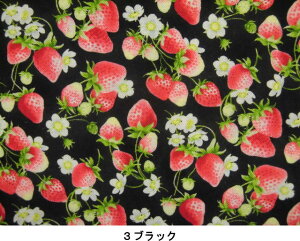 n z ̉ʎƔԕ@ SV[240[V1 3Fʕ@t[c@ Prism@vY@V[eBO@CNWFbgvgRbg@pp\