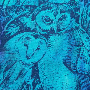 シーチング生地 布 OWL オウル フクロウ DPJ-137 インクジェットプリント さらら Original Digital Arts 商用利用可能