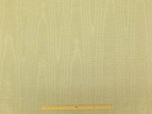 󂠂@i n YA 801999|14@Willow pp\