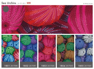 n z PCtt@ZbgRNeBu V[A[` 1850 Ej KAFFE FASSETT COLLECTIVE for Free Spirit