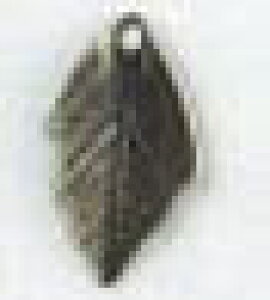 ~L@MIYUKIr[YANZT[^p[cK4619/IEB