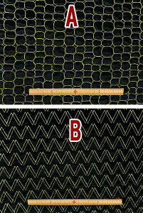 l@zi ݌ɏ ̃TeLg@n/z 40000 nЁF90cm@Ж85cm pp\