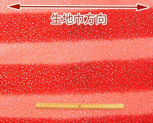 n@߂@kɁ@S߂ z߂@ GD01|01[100@nЖ70cms pp\