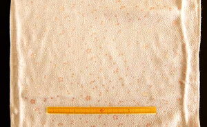 ݌Ɍ聚n@߂@kɏxFT300|11|17[100@nЖ33cmspp\