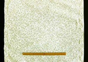 ݌Ɍ聚n@߂@kɏxFT300|15|20[100@nЖ36cmspp\