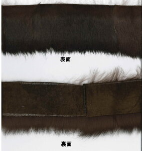 iєe[vrbg@VRfށitFCNł͂܂je[vij5cmt@[ёi\ʁj7cm