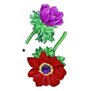 ~jfRA[g{ All1 0147|01 75×125mm R{ ACڒ GvEe[uNXEobOETVc lR|X\