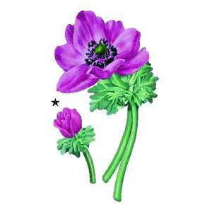 ~jfRA[g{ All2 0147|44 75×125mm R{ ACڒ GvEe[uNXEobOETVc lR|X\