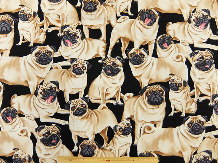 楽天市場】輸入 USAコットン 生地 布 パグズ C2488-Pug 入園入学  