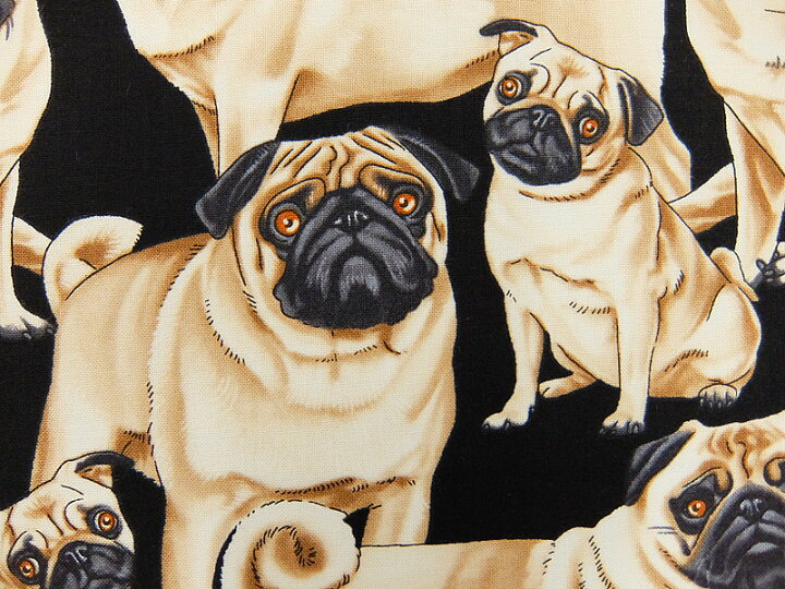 楽天市場】輸入 USAコットン 生地 布 パグズ C2488-Pug 入園入学  