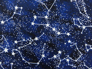A USARbg n z RXe[V CG2750Midnight  ~^Cv@lC ^CXgW[Y pp\