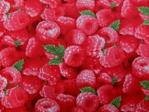 A USARbg n z Yx[ 154-raspberry x[Obh t[c ʕ GUxXX^WI t{[Y pp\