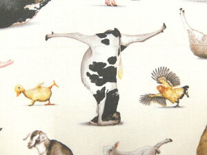 A USARbg n z K CY tH Gu 8300cream GUxXX^WI Elizabeth's Studio@Yoga is for Everyone Ƃ̏ppsil͉j