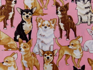 A USARbg n z ` C3191Pink w  Ck ^CXgW[Y Chihuahuas pp\