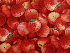 A USARbg n z tbVAbv 260RED t[htFXeBo GUxXX^WI S t[c ʕ pp\
