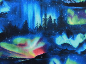 A USARbg n z hXP[v h[ 502black GUxXX^WI i I[   F pp\