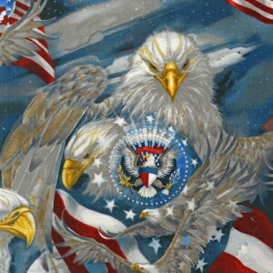 A n USARbg AJ[i ABK-12484-202 o[gJt} pp\