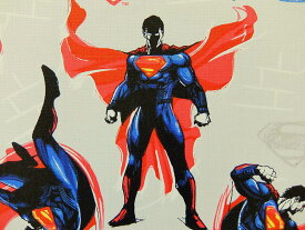 在庫処分 キャラクター生地 布 正規ライセンス品 輸入 USAコットン バットマン VS スーパーマン ジャスティスの誕生 23420104−1 スーパーマン ライトグレー 商用利用不可
