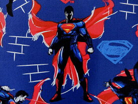 在庫処分 キャラクター生地 布 正規ライセンス品 輸入 USAコットン バットマン VS スーパーマン ジャスティスの誕生 23420104−2 スーパーマン ネイビー 商用利用不可