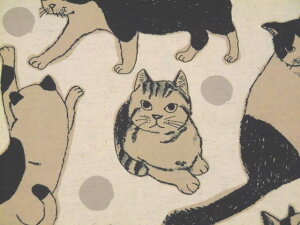 Rbgl LoXn z BigL@KTS7110A x[W  ˂ L Rbg΂₵ pp\