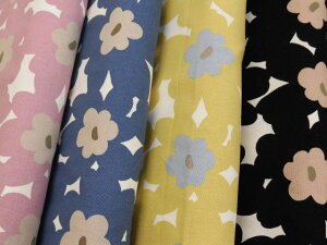 RbgLoXn z UP5967 ԕ AJlk ̕z () Rbg΂₵ pp\