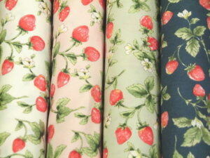 FAז@Rbg u[hn z @ԂƉʎ@KTS7090 Rbg΂₵ pp\