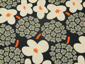 RbglLoX n z k u[P UP5734GlCr[nRbg΂₵ ̕z pp\