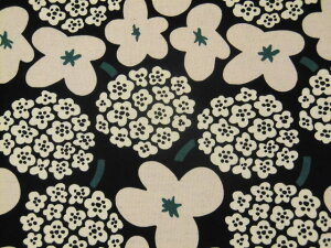 RbglLoX n z k u[P UP5734C ubNnRbg΂₵ ̕z pp\