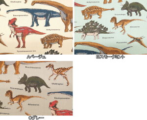 w cCn z _Ci\[ } KTS6036 Rbg΂₵ \[CO@nhCh@pp\