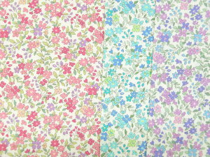 KTS2704 ԕ u[hn XC[ctHXg KTS2704 Sweets forest Rbg΂₵ pp\