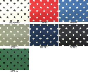 �c�C�����n �z �����v�����g���n �X�^�[���C�g KTS3681 ���p���p�\�@�R�b�g��