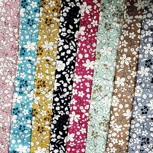 ԕ u[hn z XC[ctHXg KTS6623@nhCh@\[CO@ Sweets forest Rbg΂₵ pp\